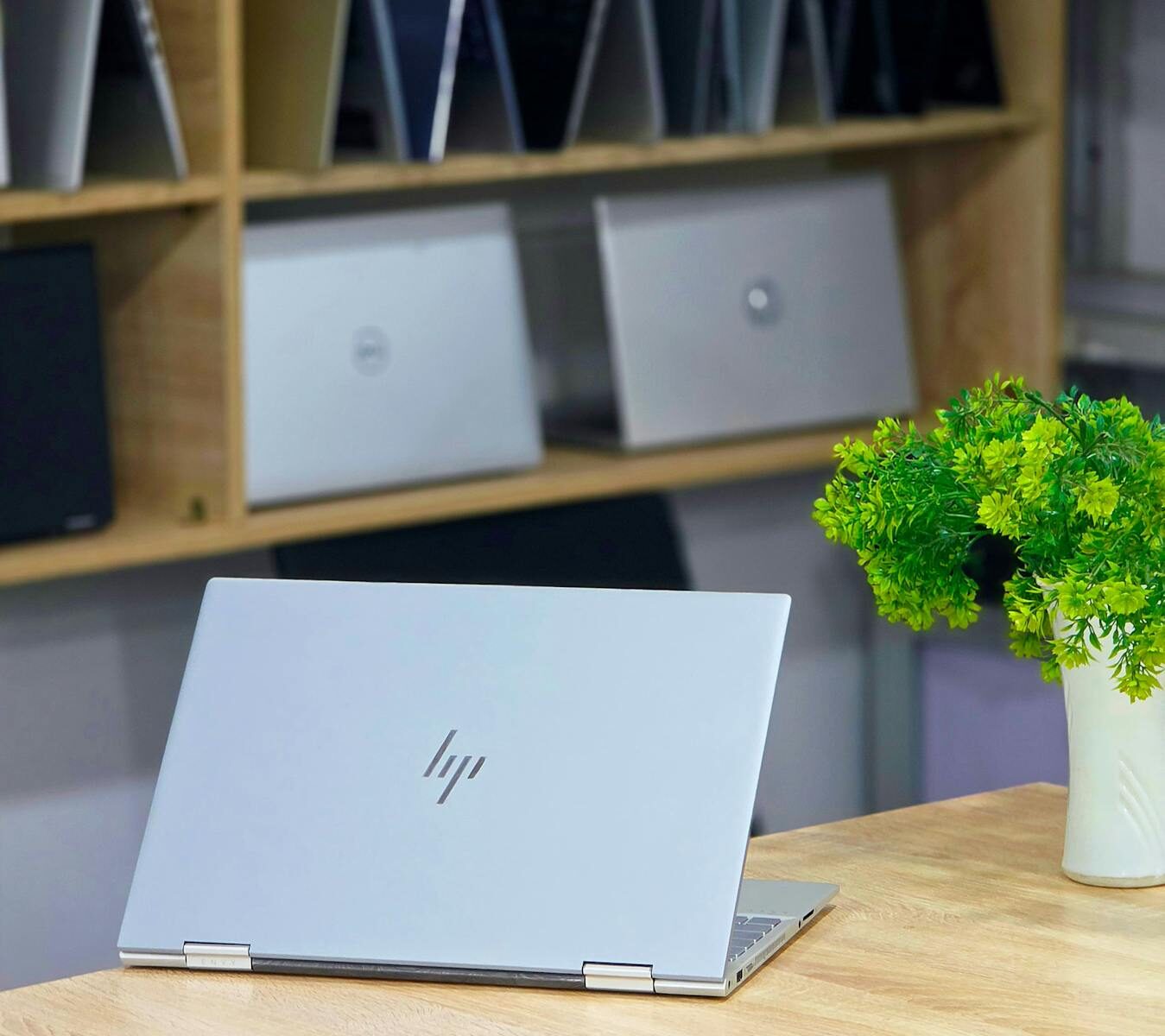 Open laptop on a wooden desk with a plant, conveying a modern and professional workspace.